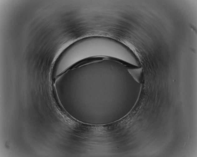 X0000091641120200709131426