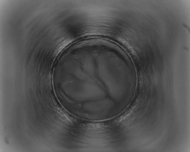 X0000091641121200709131426