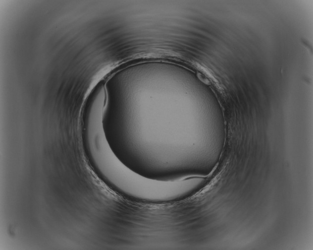 X0000091641122200709131426