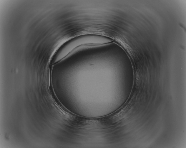 X0000091641123200709131426