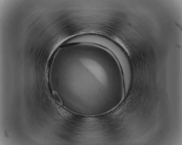 X0000091641124200709131426