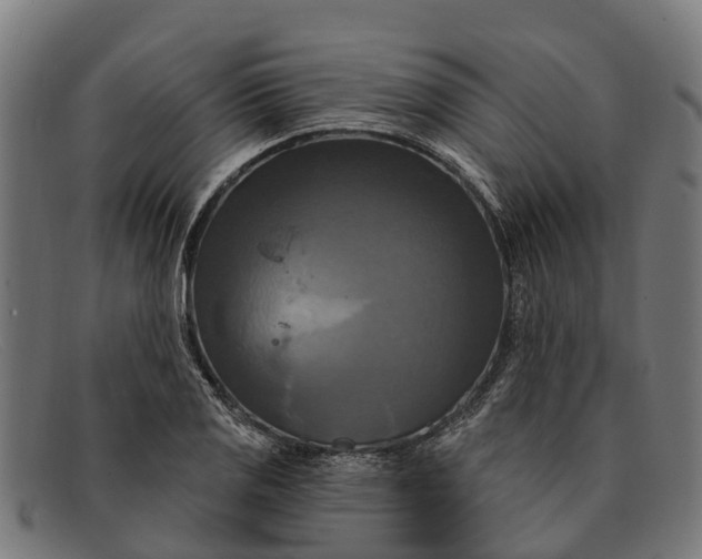 X0000091641125200709131426