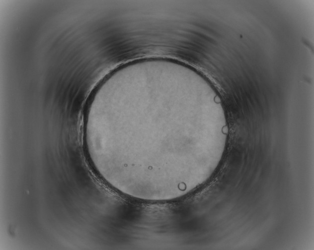 X0000091641126200709131426