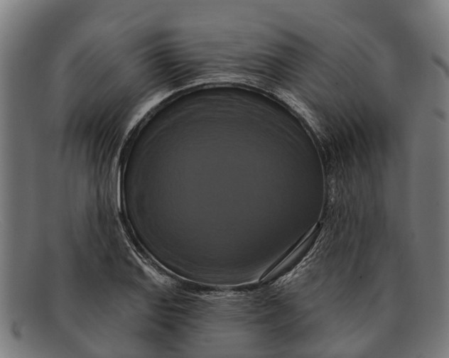 X0000091641127200709131426