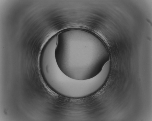 X0000091641128200709131426
