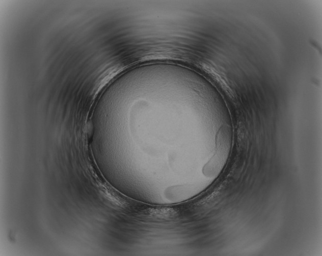 X0000091641129200709131426