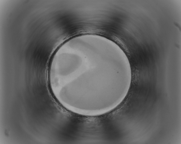 X0000091641130200709131426