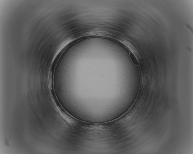 X0000091641131200709131426