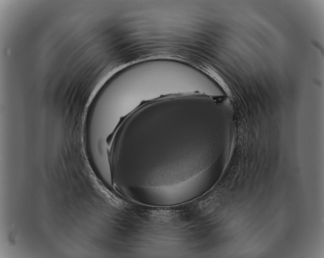 X0000091641132200709131426
