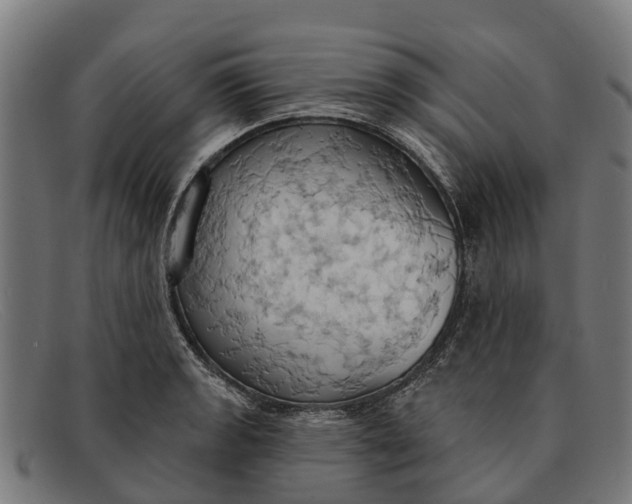X0000091641133200709131426
