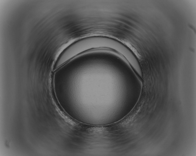 X0000091641134200709131426