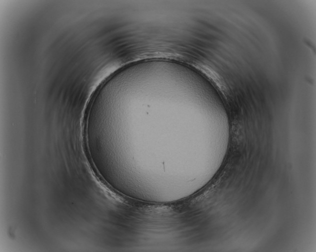 X0000091641135200709131426