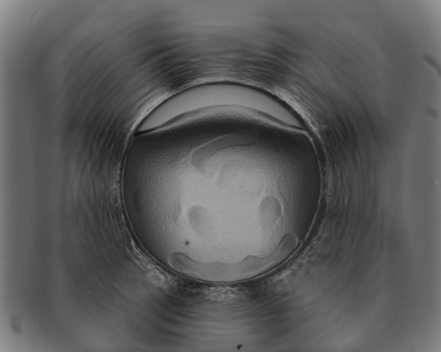 X0000091641137200709131426
