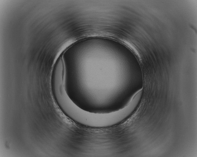 X0000091641138200709131426
