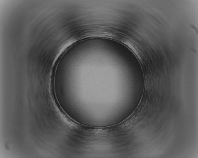 X0000091641139200709131426