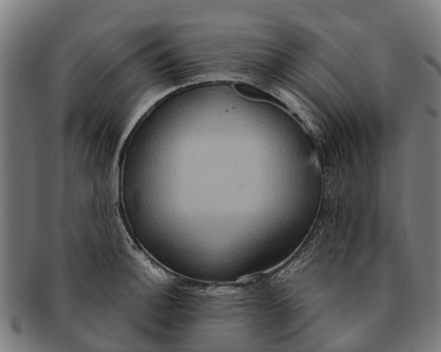 X0000091641140200709131426