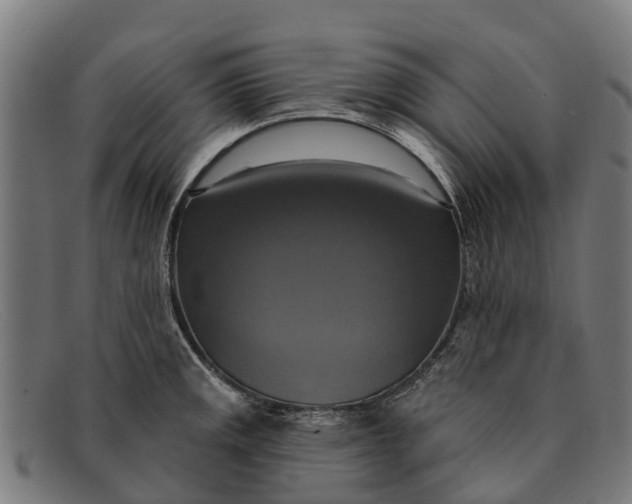 X0000091641141200709131426