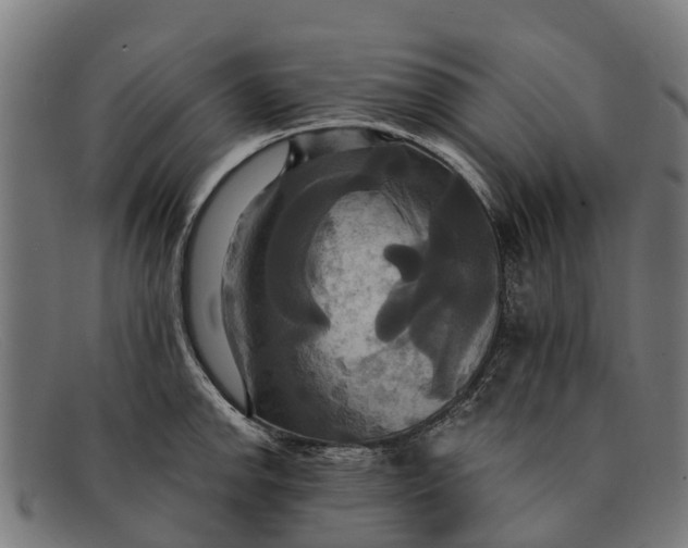 X0000091641142200709131426