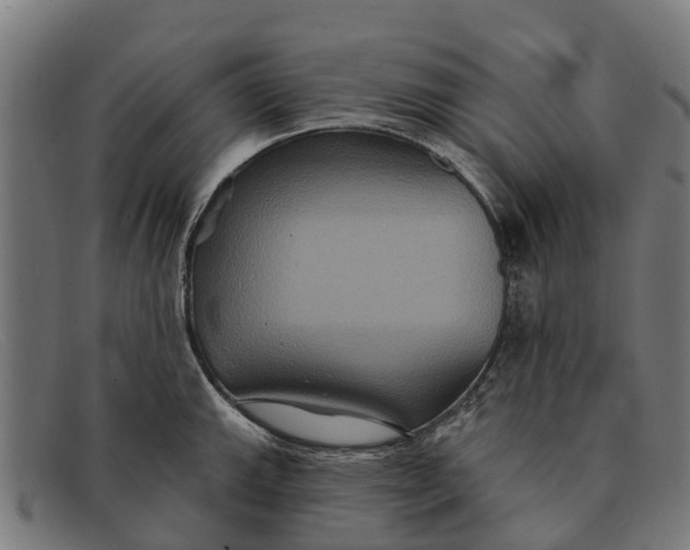 X0000091641143200709131426
