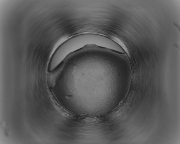 X0000091641146200709131426