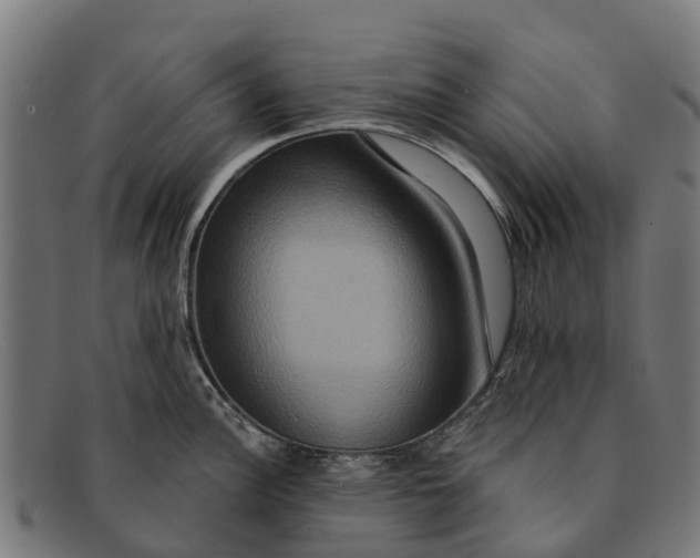 X0000091641148200709131426