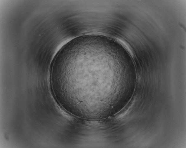 X0000091641149200709131426