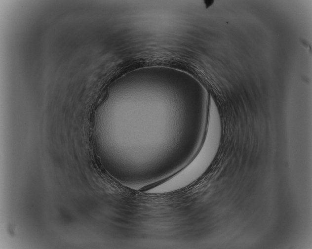 X0000091641153200709131426
