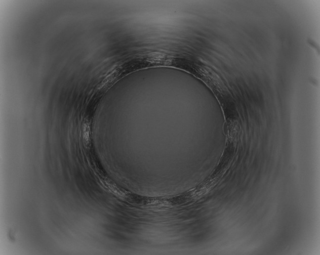 X0000091641154200709131426