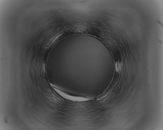 X0000091641155200709131426