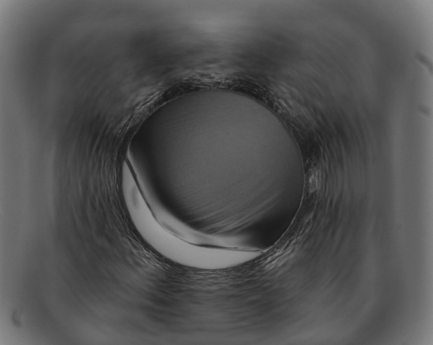 X0000091641156200709131426