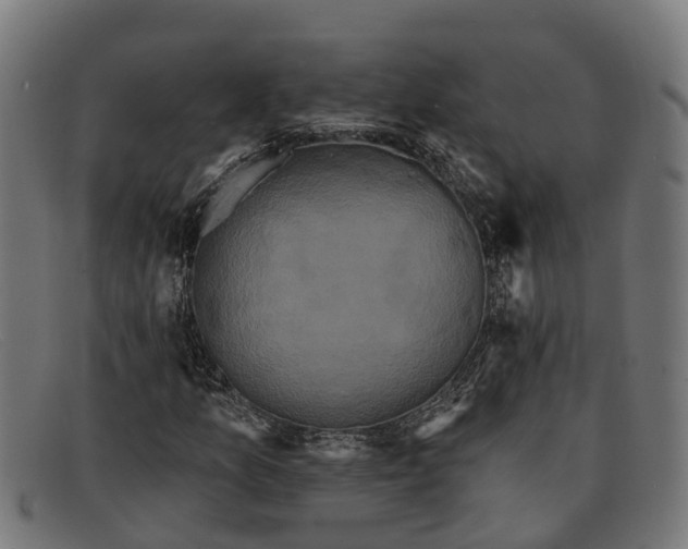 X0000091641157200709131426