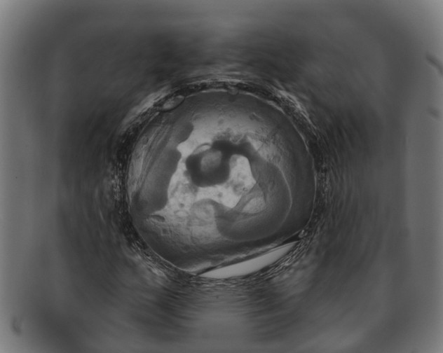 X0000091641159200709131426