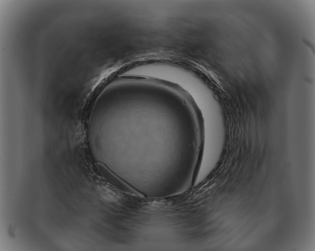 X0000091641160200709131426