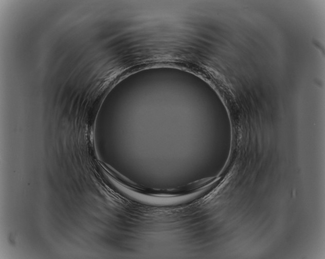 X0000091641161200709131426