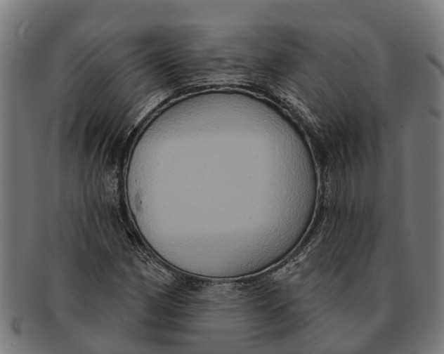 X0000091641162200709131426