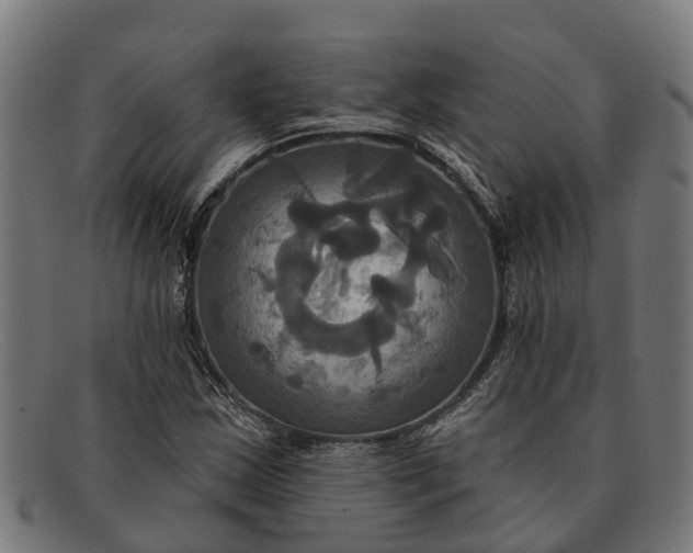X0000091641163200709131426