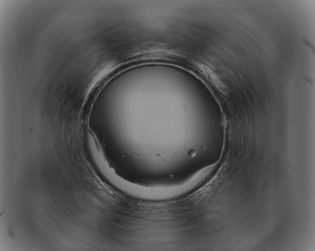 X0000091641164200709131426