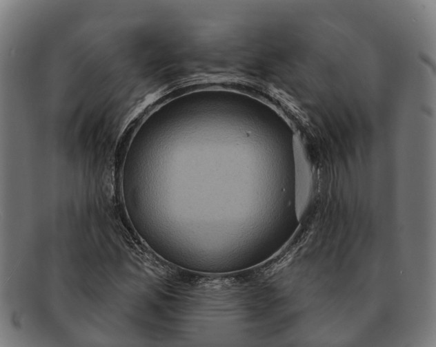 X0000091641165200709131426