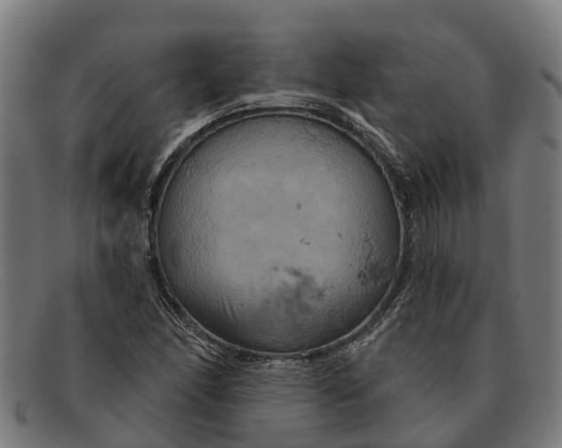 X0000091641166200709131425