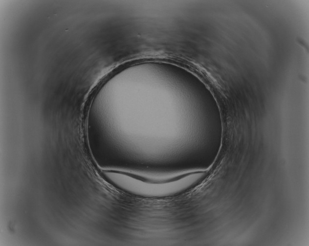 X0000091641168200709131425