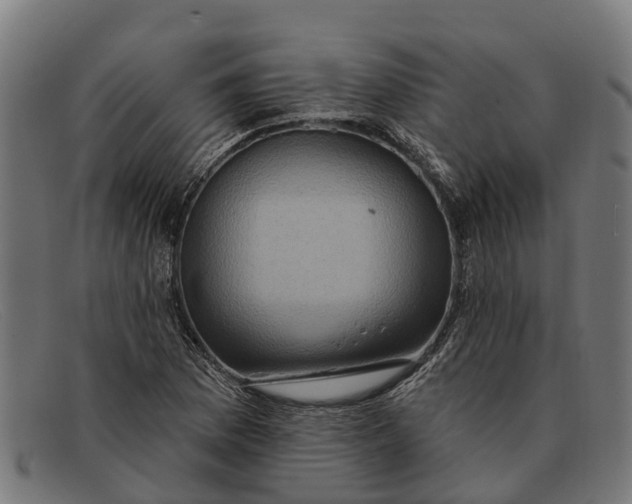 X0000091641169200709131425