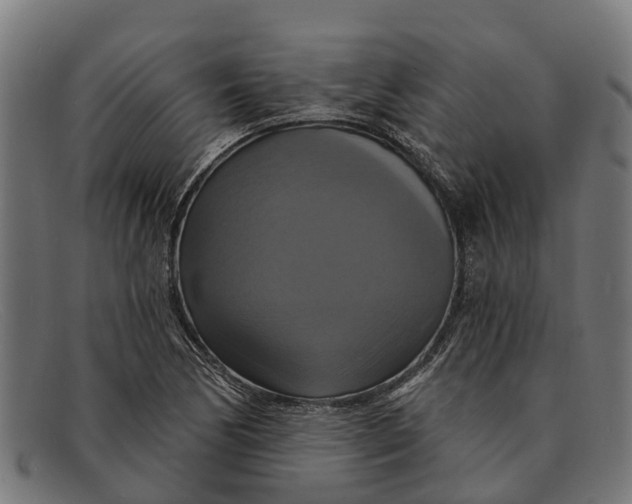 X0000091641170200709131425