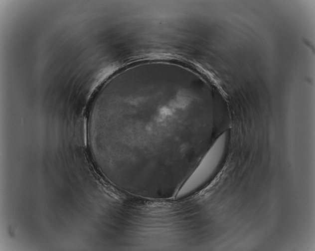 X0000091641171200709131425