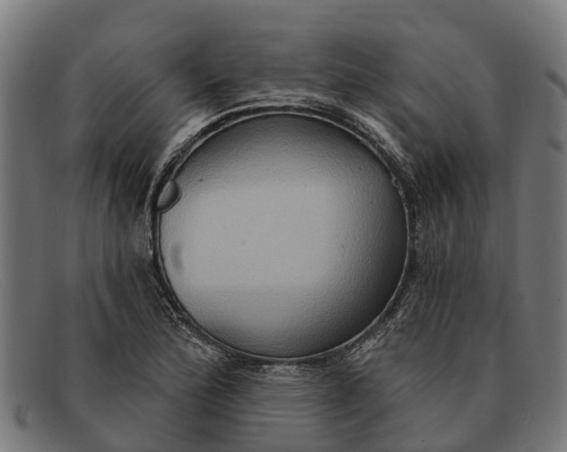 X0000091641172200709131425