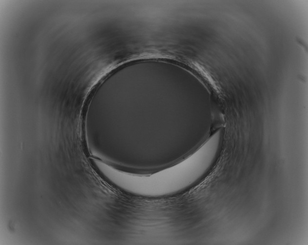 X0000091641173200709131425