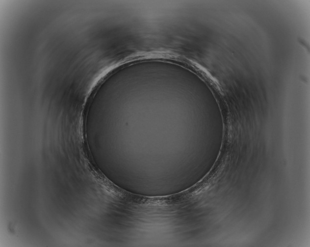 X0000091641174200709131425