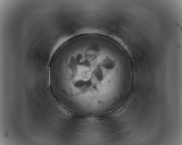 X0000091641175200709131425