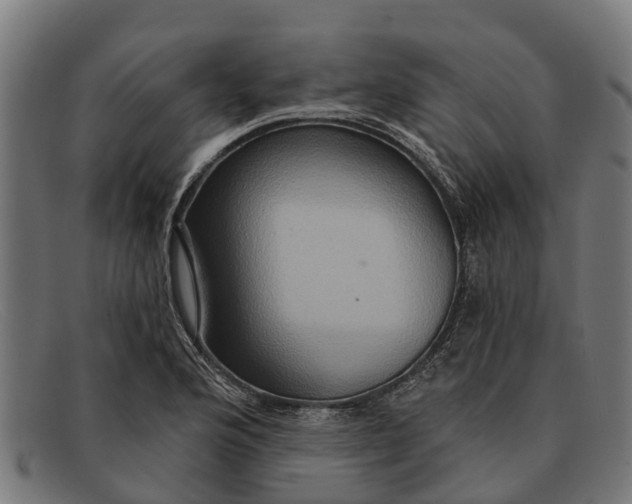 X0000091641176200709131425