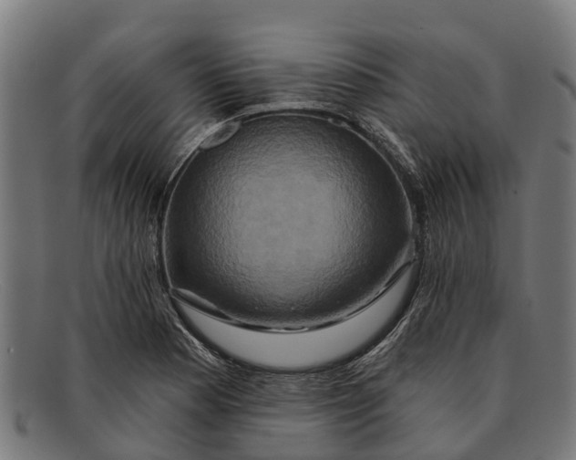 X0000091641177200709131425