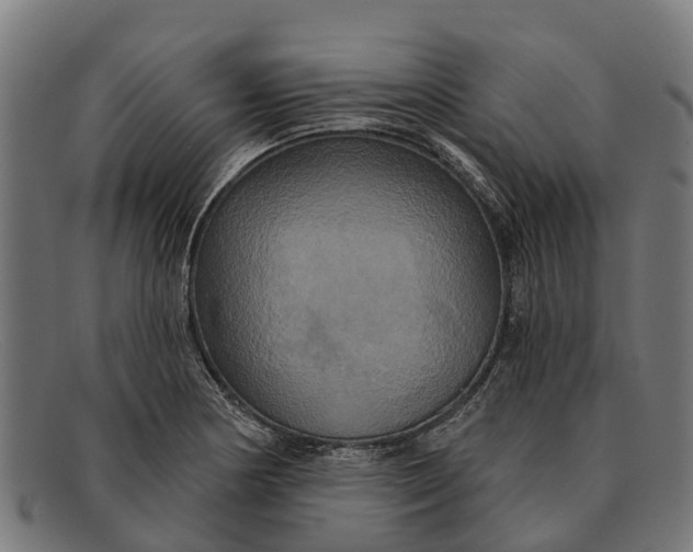 X0000091641178200709131425